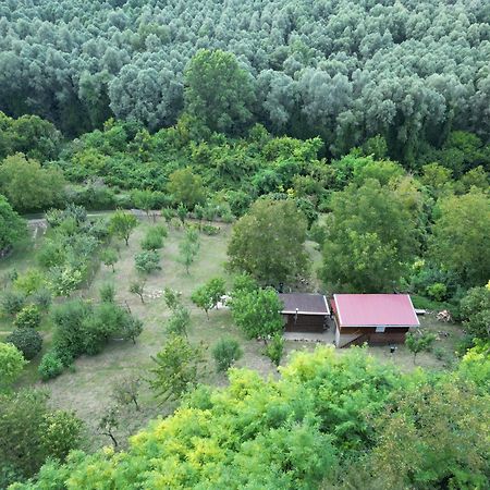 Odmor Za Dusu I Tijelo U Srcu Prirode Villa Aljmas Luaran gambar