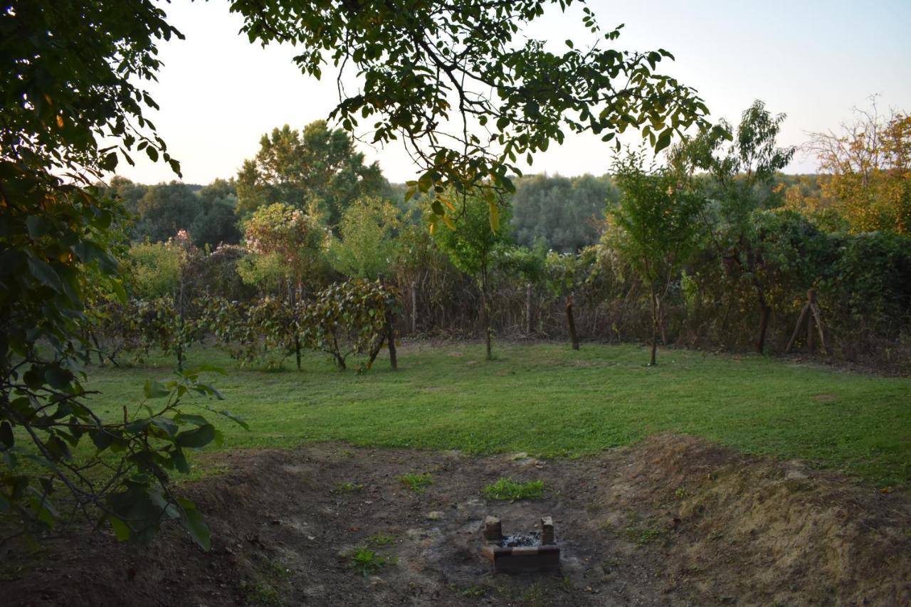 Odmor Za Dusu I Tijelo U Srcu Prirode Villa Aljmas Luaran gambar