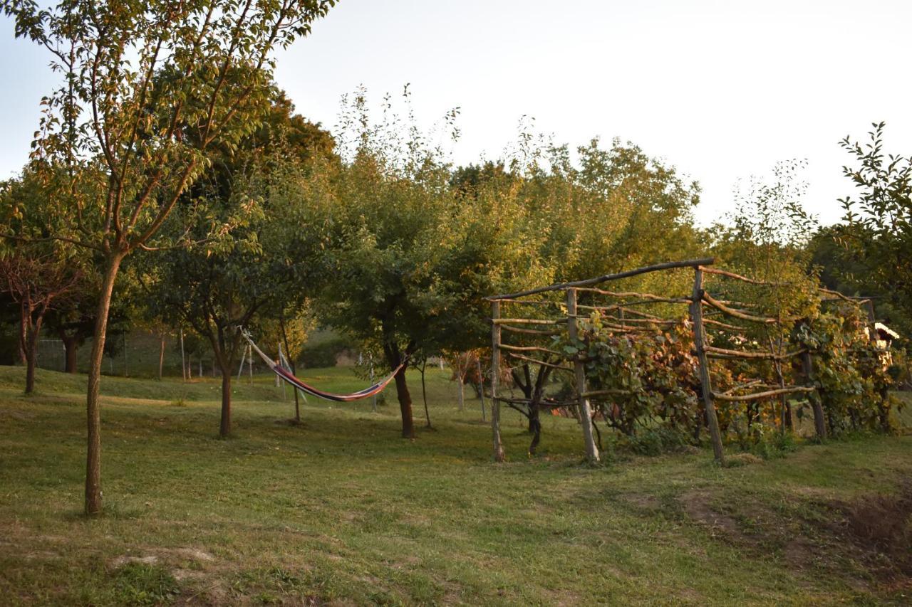 Odmor Za Dusu I Tijelo U Srcu Prirode Villa Aljmas Luaran gambar