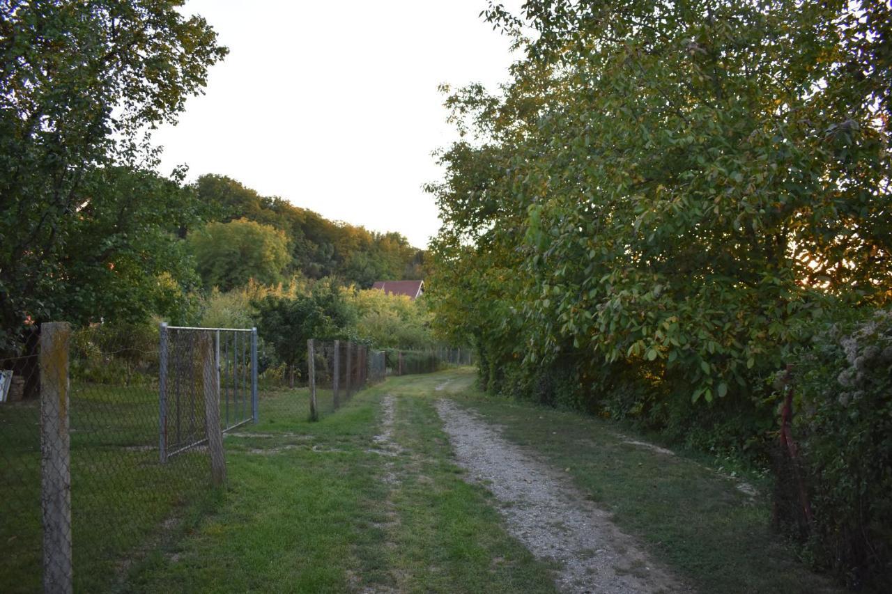 Odmor Za Dusu I Tijelo U Srcu Prirode Villa Aljmas Luaran gambar