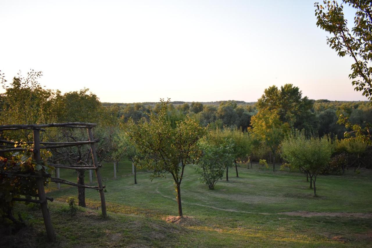 Odmor Za Dusu I Tijelo U Srcu Prirode Villa Aljmas Luaran gambar