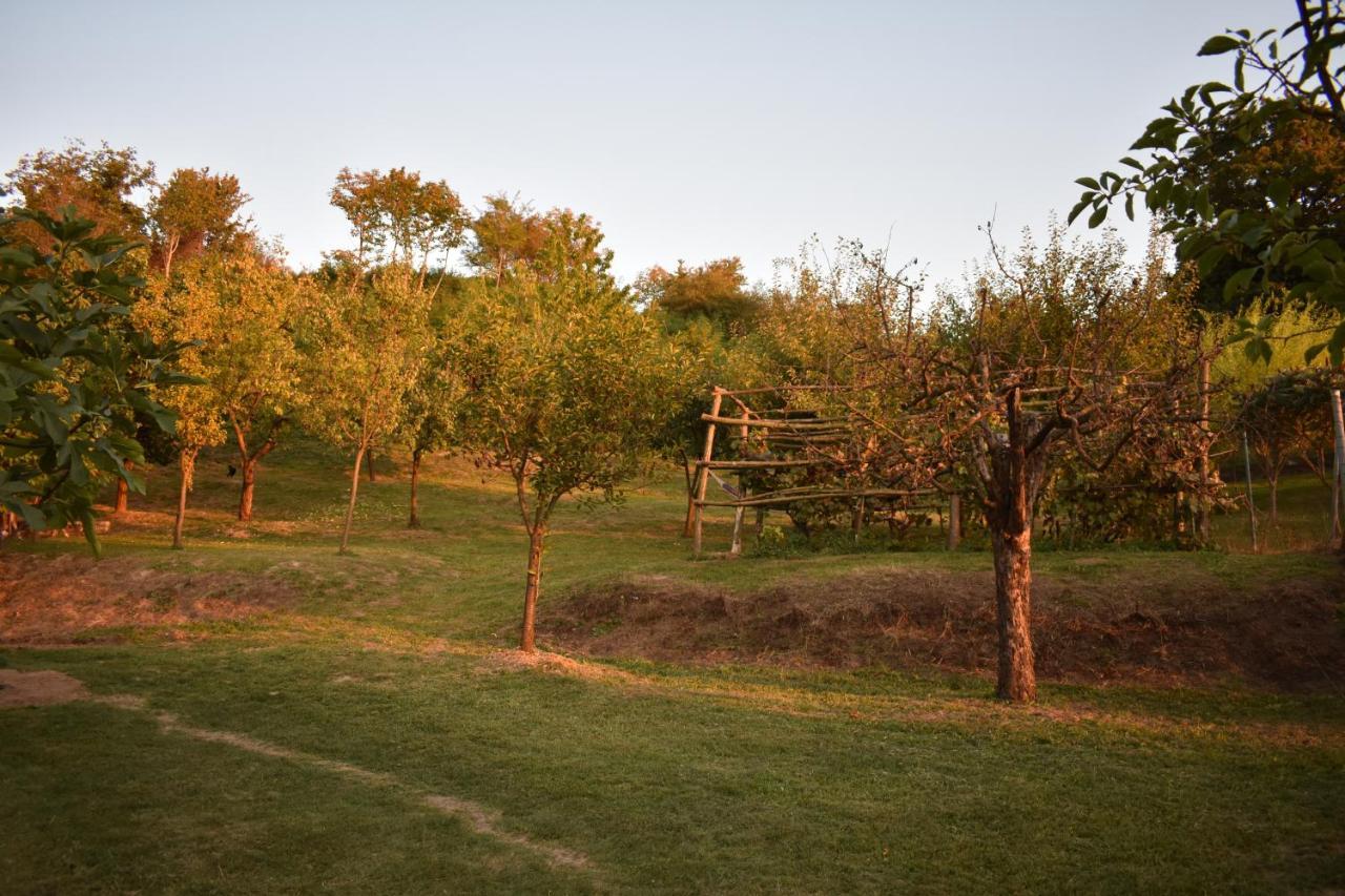 Odmor Za Dusu I Tijelo U Srcu Prirode Villa Aljmas Luaran gambar