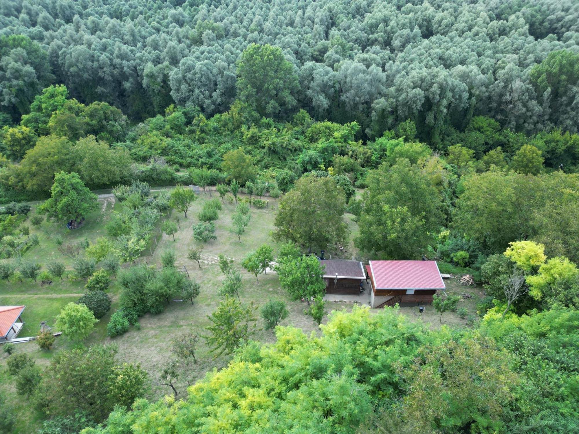 Odmor Za Dusu I Tijelo U Srcu Prirode Villa Aljmas Luaran gambar