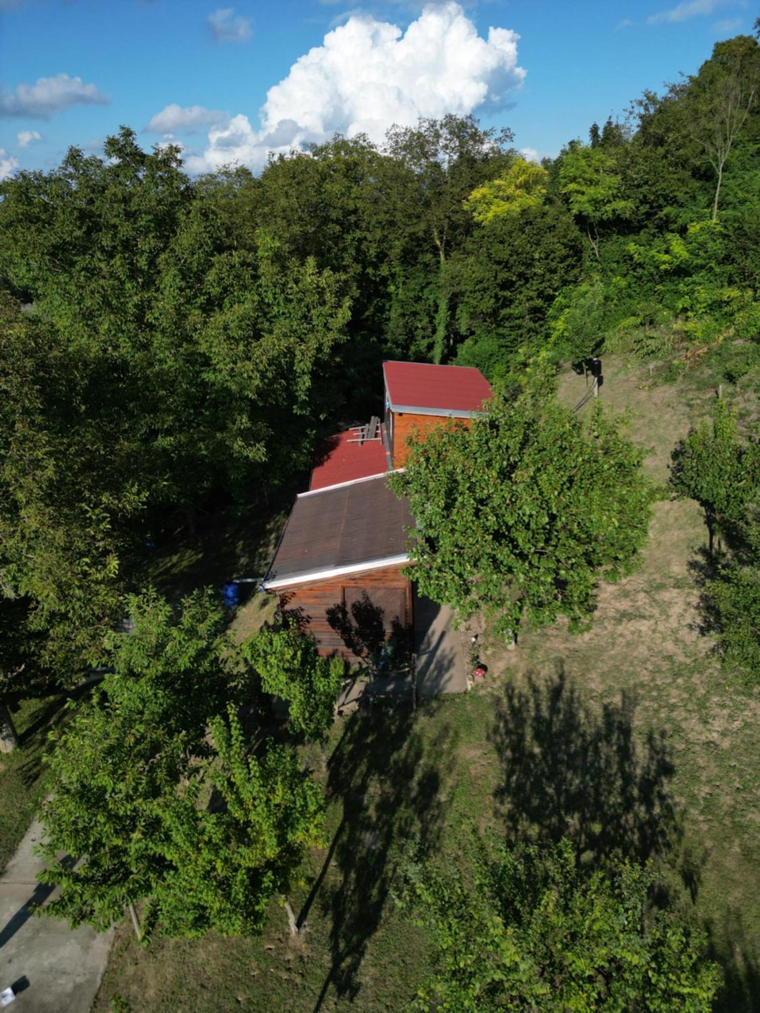 Odmor Za Dusu I Tijelo U Srcu Prirode Villa Aljmas Luaran gambar