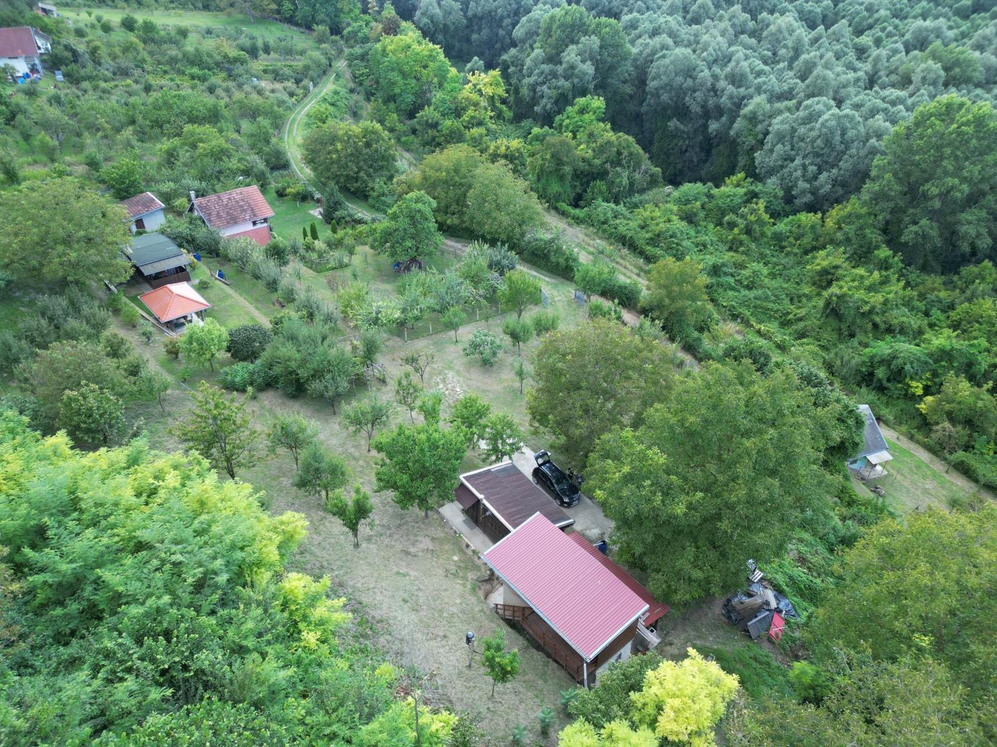 Odmor Za Dusu I Tijelo U Srcu Prirode Villa Aljmas Luaran gambar